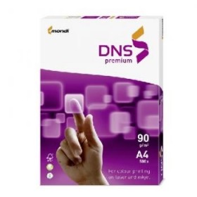 DNS  Premium