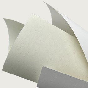 Shiro Alga Carta