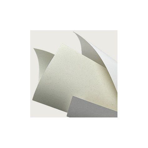 Shiro Alga Carta | updirecto.es