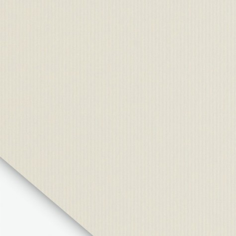 Twill | updirecto.es