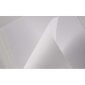 Shiro Echo 100 Recycled