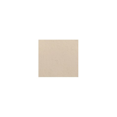 Shiro Echo Raw Recycled | updirecto.es